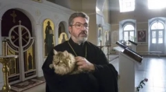 Зошто кучињата не можат да одат во црква